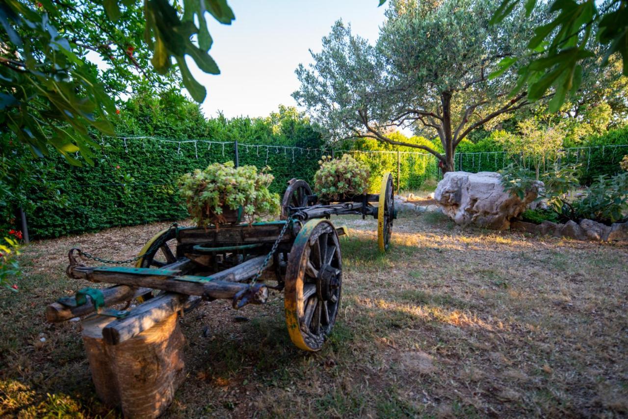 Holiday House Cvita Biograd Na Moru Εξωτερικό φωτογραφία